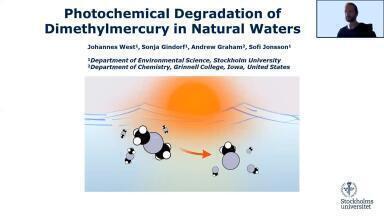 Photodemethylation of Dimethylmercury in Natural Waters